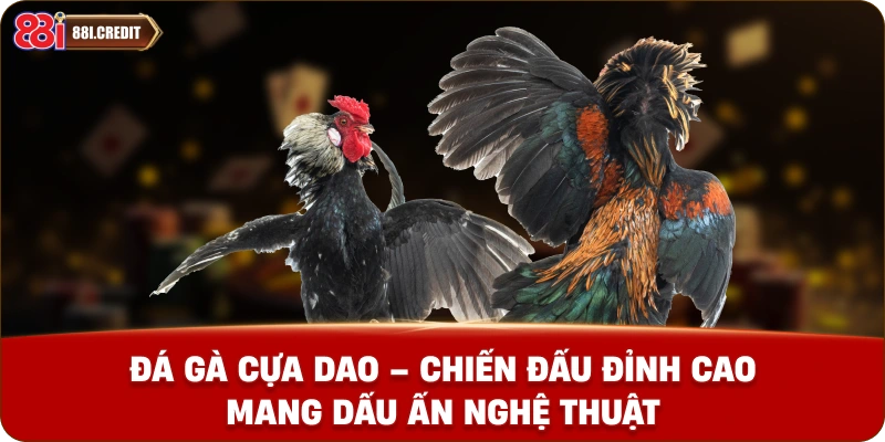 Đá gà cựa dao - Chiến đấu đỉnh cao mang dấu ấn nghệ thuật
