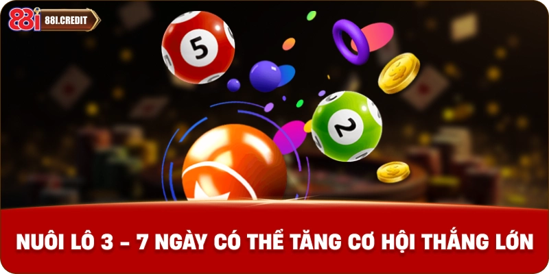 Nuôi lô 3 - 7 ngày có thể tăng cơ hội thắng lớn